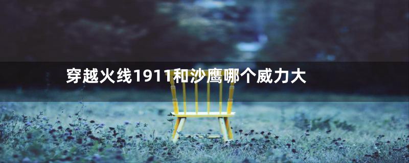 穿越火线1911和沙鹰哪个威力大