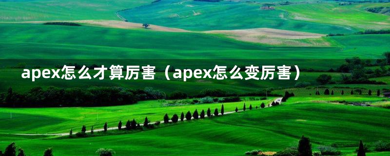 apex怎么才算厉害（apex怎么变厉害）