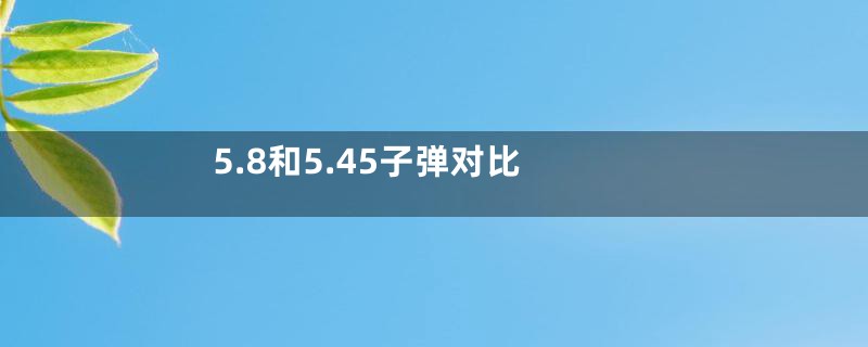 5.8和5.45子弹对比