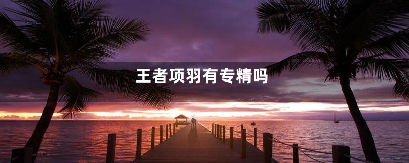 王者项羽有专精吗