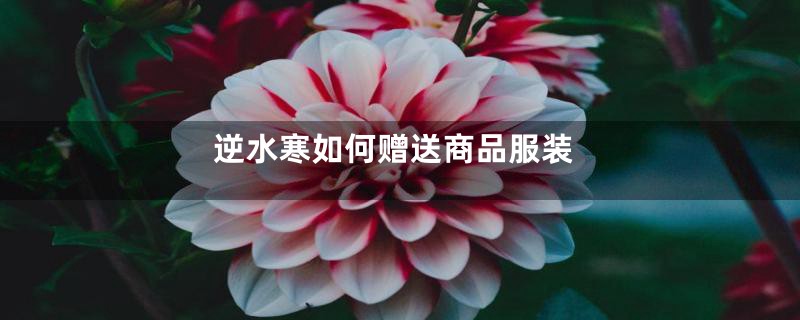 逆水寒如何赠送商品服装