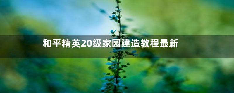 和平精英20级家园建造教程最新