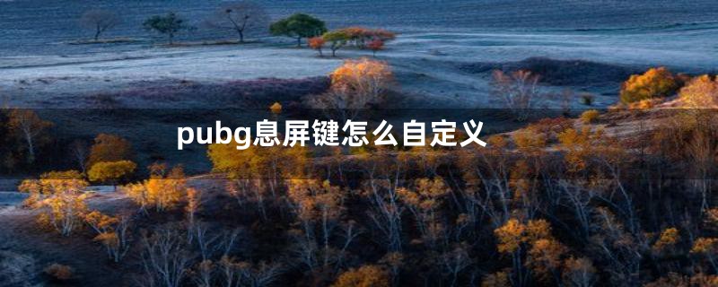 pubg息屏键怎么自定义