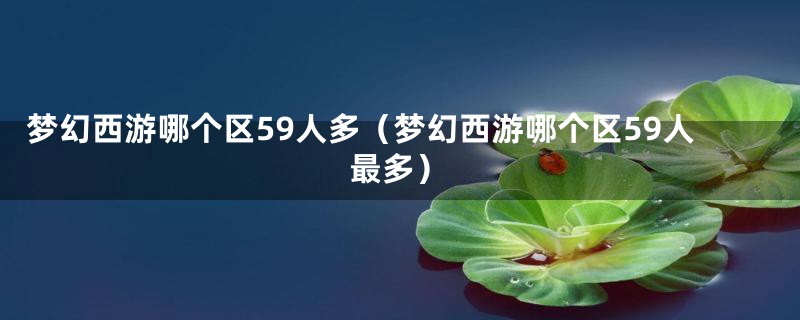 梦幻西游哪个区59人多（梦幻西游哪个区59人最多）