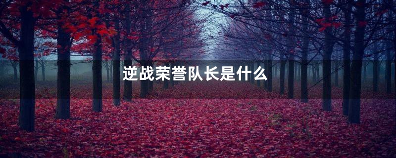 逆战荣誉队长是什么