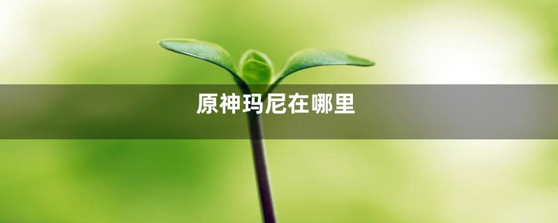 原神玛尼在哪里