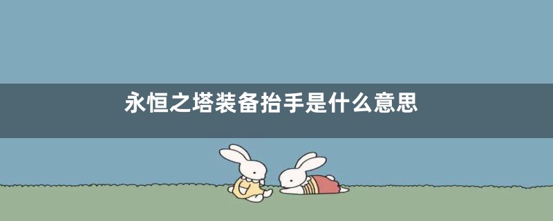 永恒之塔装备抬手是什么意思