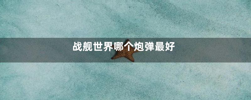 战舰世界哪个炮弹最好