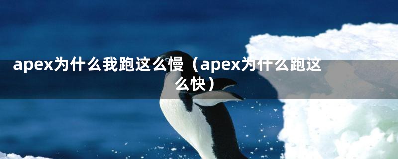 apex为什么我跑这么慢（apex为什么跑这么快）