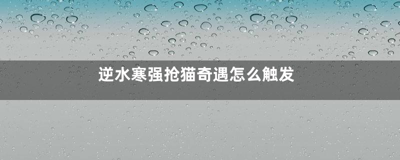 逆水寒强抢猫奇遇怎么触发