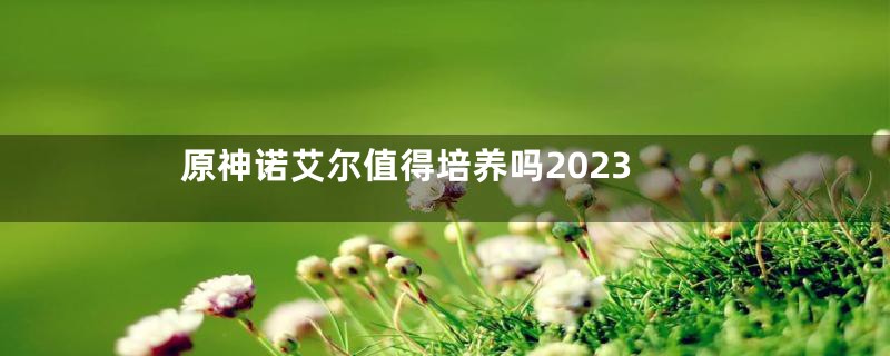 原神诺艾尔值得培养吗2023