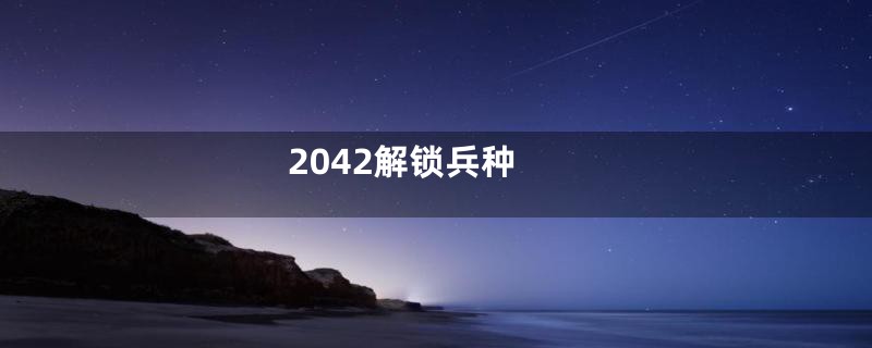 2042解锁兵种