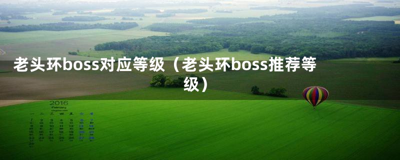 老头环boss对应等级（老头环boss推荐等级）