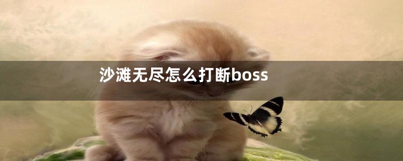 沙滩无尽怎么打断boss