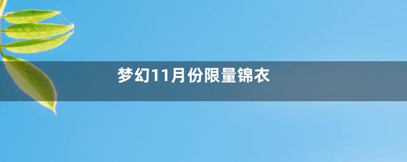 梦幻11月份限量锦衣