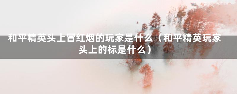 和平精英头上冒红烟的玩家是什么（和平精英玩家头上的标是什么）