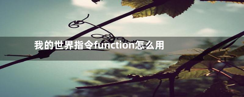 我的世界指令function怎么用