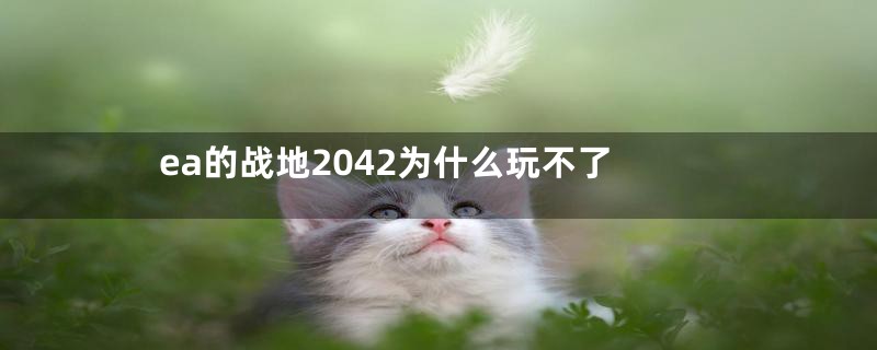 ea的战地2042为什么玩不了