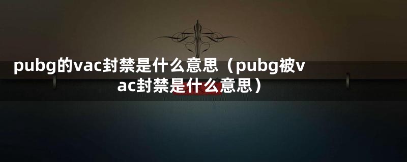 pubg的vac封禁是什么意思（pubg被vac封禁是什么意思）