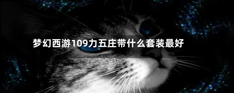 梦幻西游109力五庄带什么套装最好