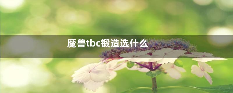 魔兽tbc锻造选什么