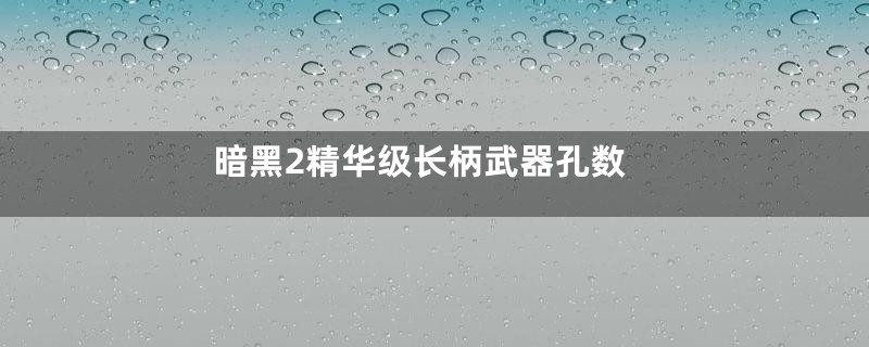 暗黑2精华级长柄武器孔数