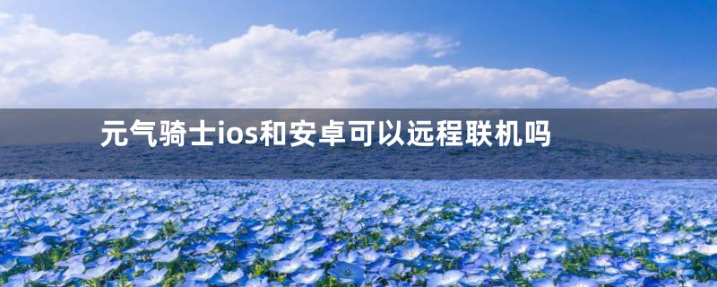 元气骑士ios和安卓可以远程联机吗