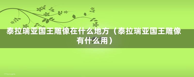 泰拉瑞亚国王雕像在什么地方（泰拉瑞亚国王雕像有什么用）