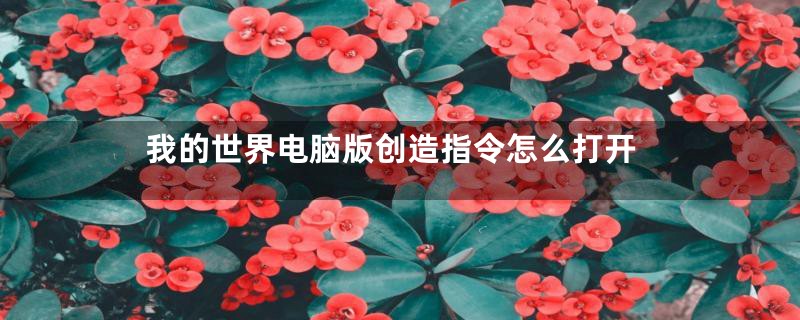 我的世界电脑版创造指令怎么打开