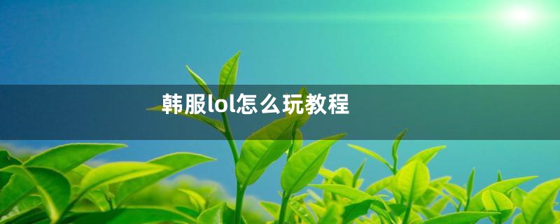 韩服lol怎么玩教程