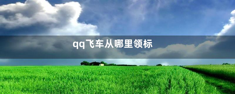 qq飞车从哪里领标