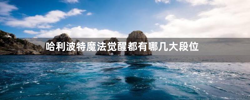 哈利波特魔法觉醒都有哪几大段位