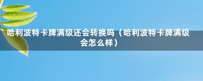 哈利波特卡牌满级还会转换吗（哈利波特卡牌满级会怎么样）