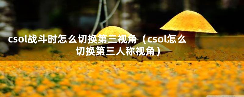 csol战斗时怎么切换第三视角（csol怎么切换第三人称视角）