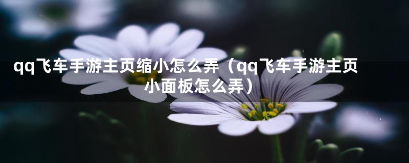 qq飞车手游主页缩小怎么弄（qq飞车手游主页小面板怎么弄）