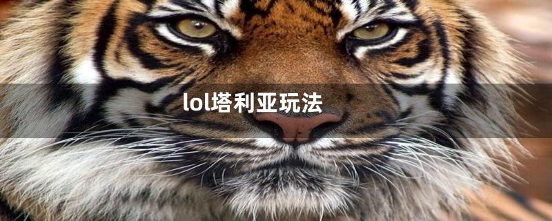 lol塔利亚玩法