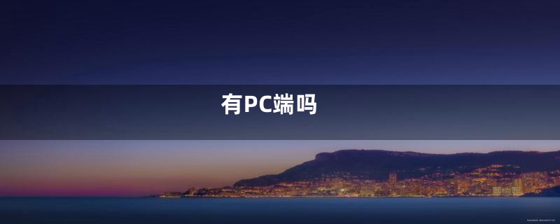 有PC端吗