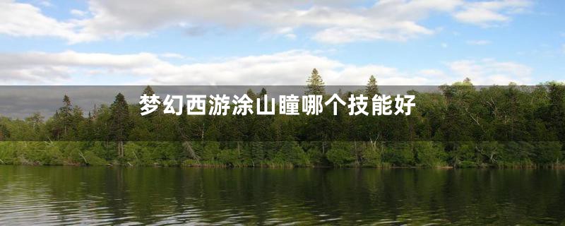 梦幻西游涂山瞳哪个技能好