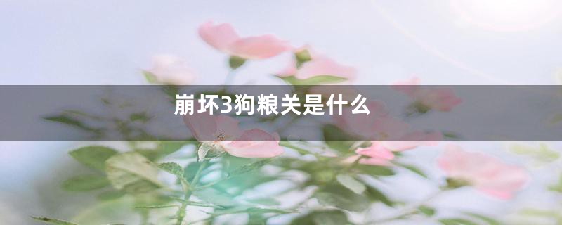 崩坏3狗粮关是什么