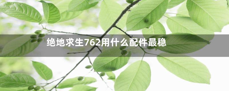 绝地求生762用什么配件最稳