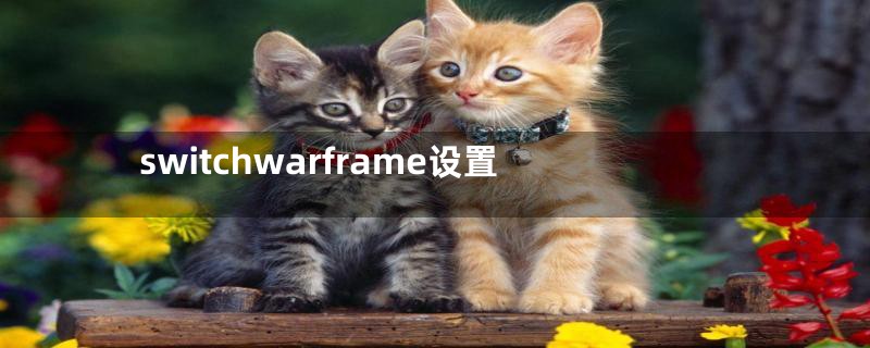 switchwarframe设置