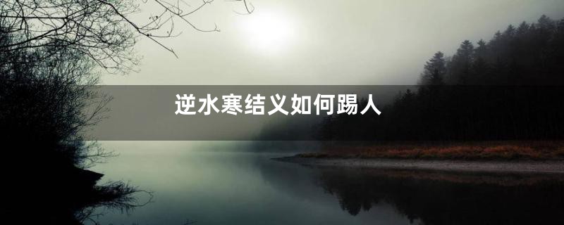 逆水寒结义如何踢人