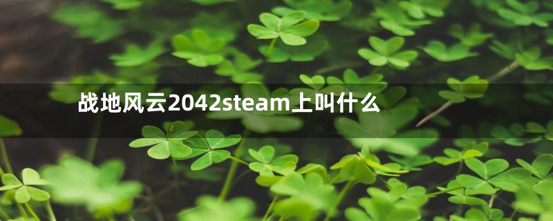 战地风云2042steam上叫什么