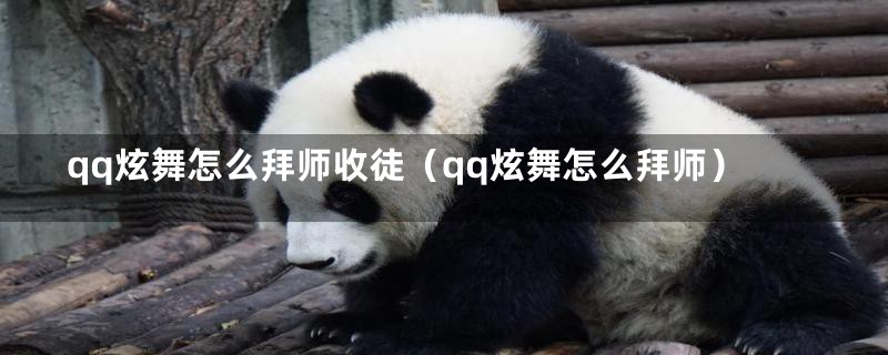 qq炫舞怎么拜师收徒（qq炫舞怎么拜师）