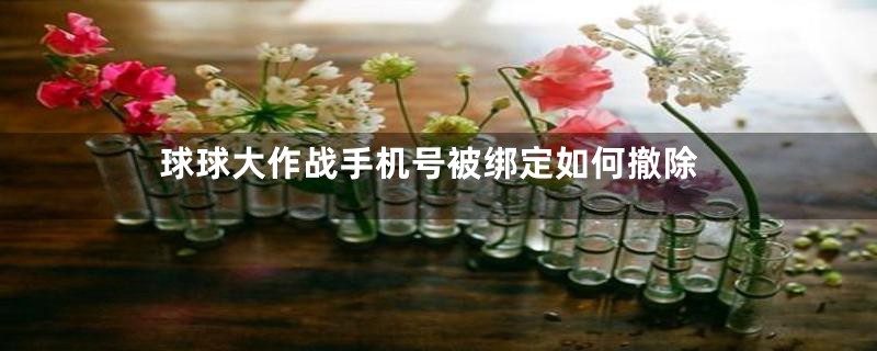 球球大作战手机号被绑定如何撤除