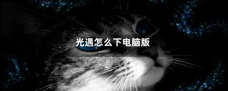 光遇怎么下电脑版