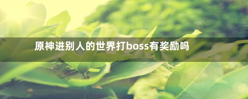 原神进别人的世界打boss有奖励吗