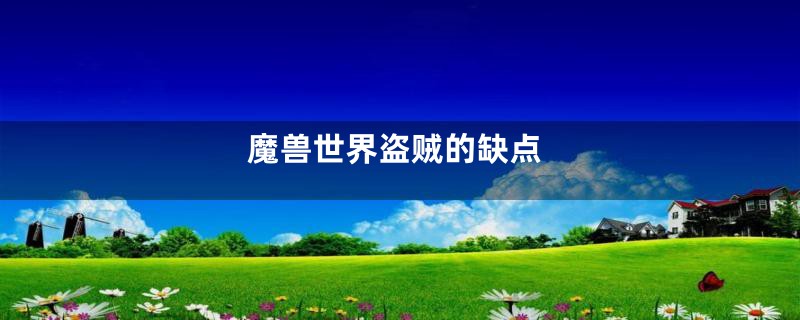 魔兽世界盗贼的缺点