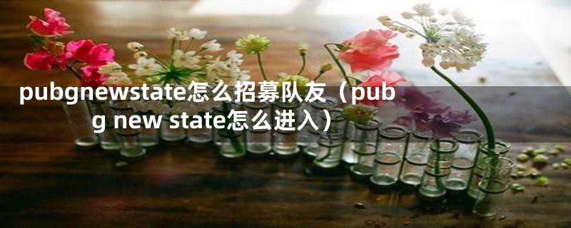 pubgnewstate怎么招募队友（pubg new state怎么进入）