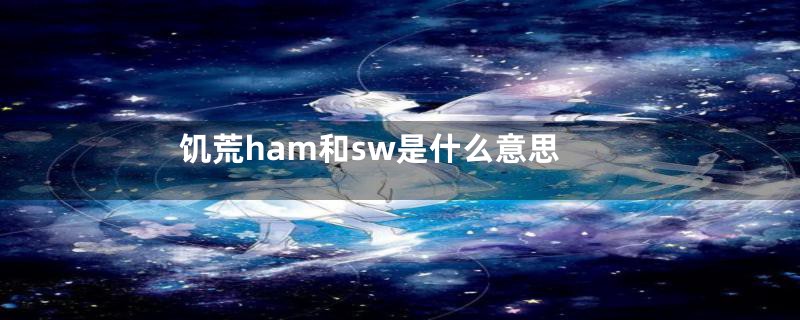 饥荒ham和sw是什么意思